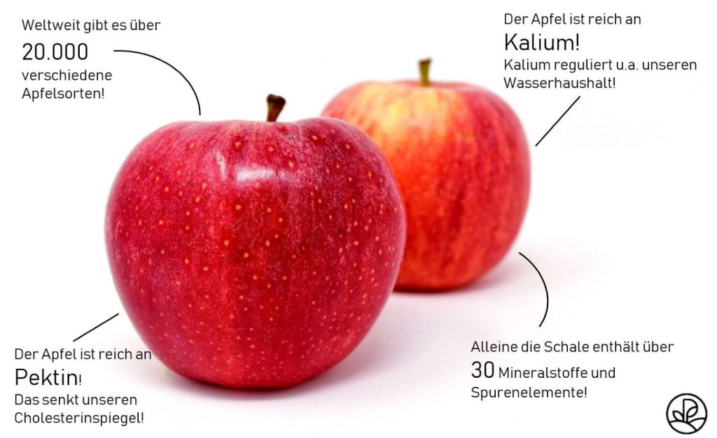 Wie viele Kalorien stecken in einem Apfel?